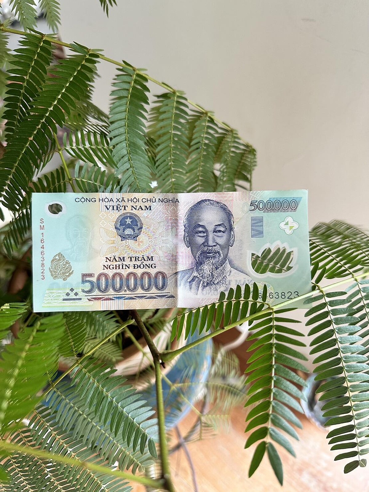 越南盾的500,000紙鈔，大約是台幣645元，在越南很容易就變成千萬富翁。