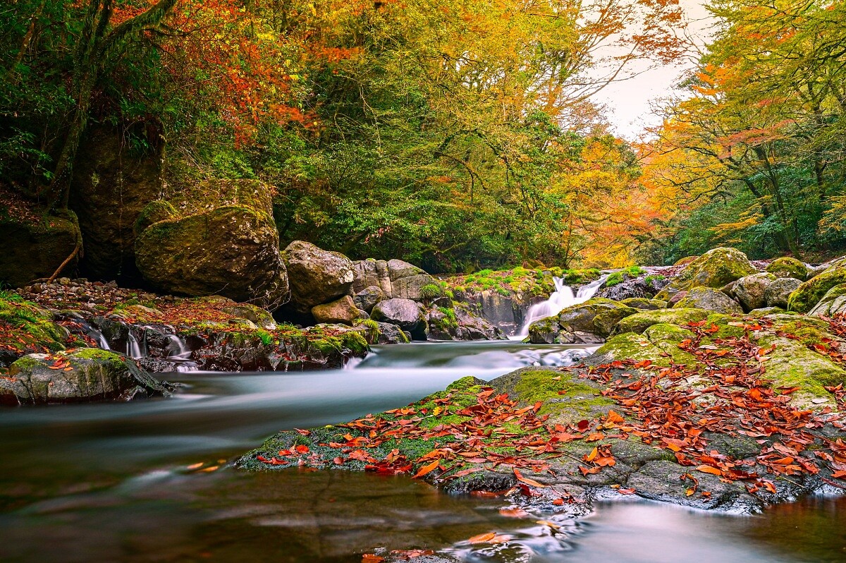 擁有「日本森林浴百選」美譽的菊池溪谷。