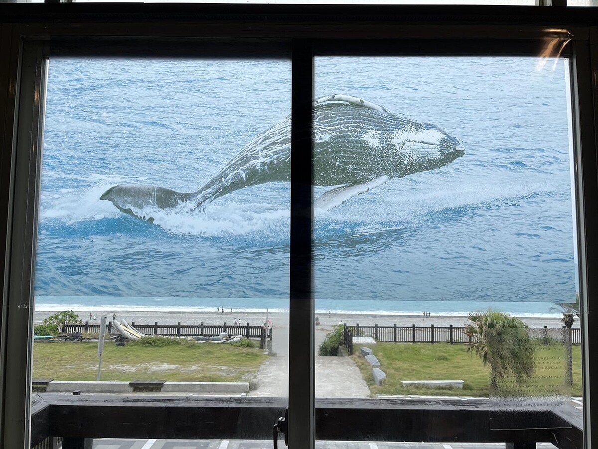 陳玟樺（洄遊吧｜新城鄉），Melody TU 採訪拍攝