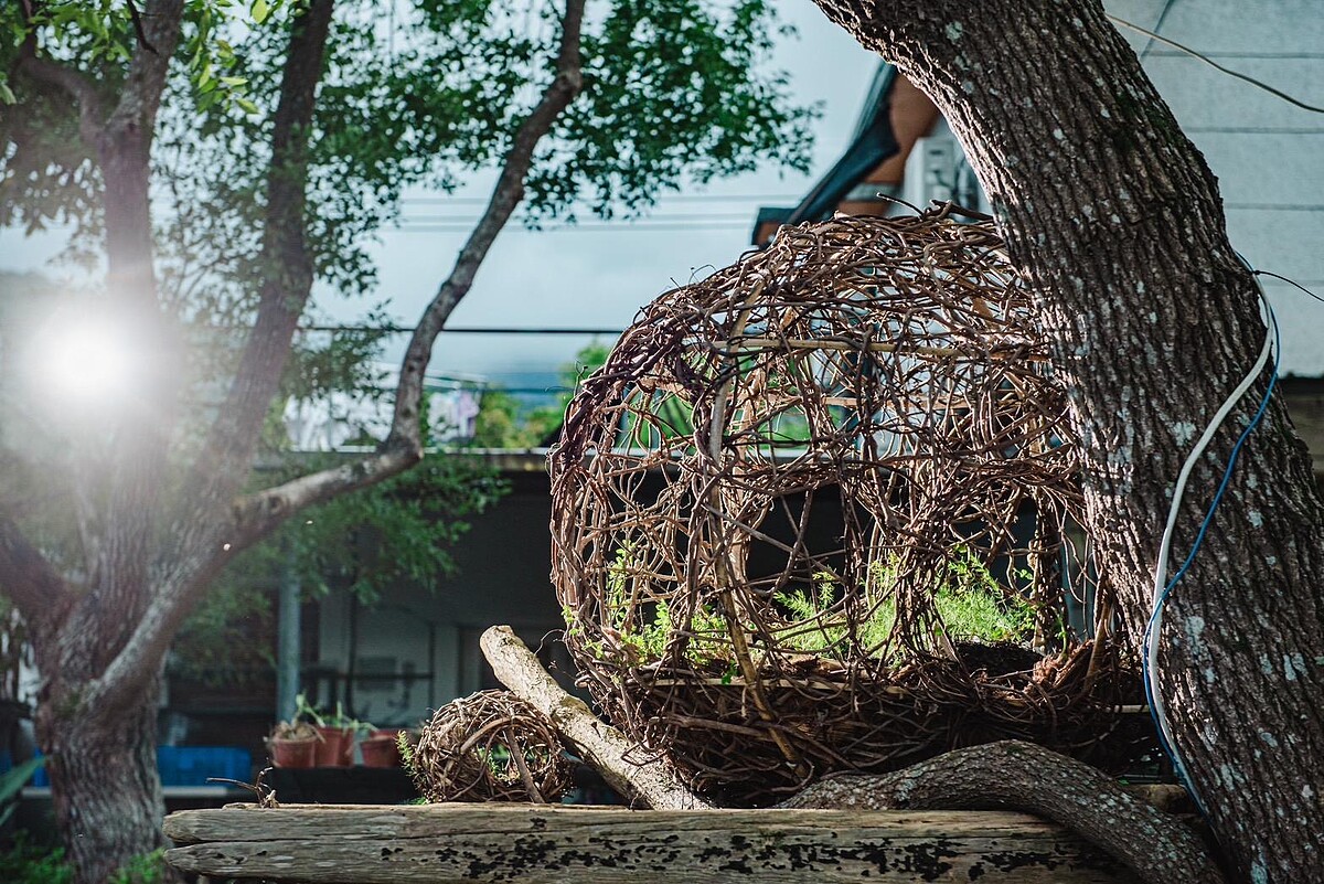 許雅菁 &times; 王煒婷（艸青悠耘工作室｜壽豐鄉）