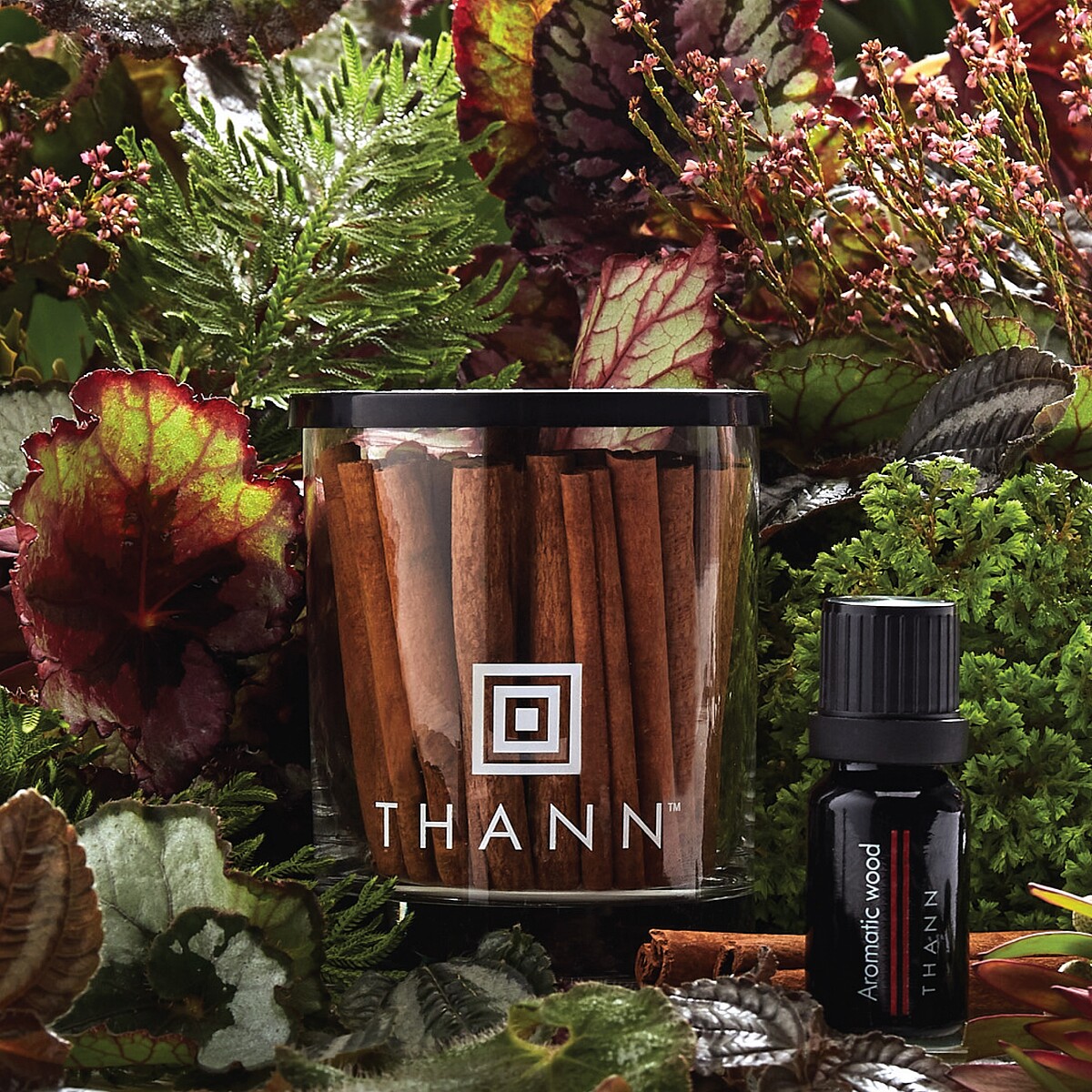 THANN香木複方精華10ml+肉桂擴香杯，NT1,180