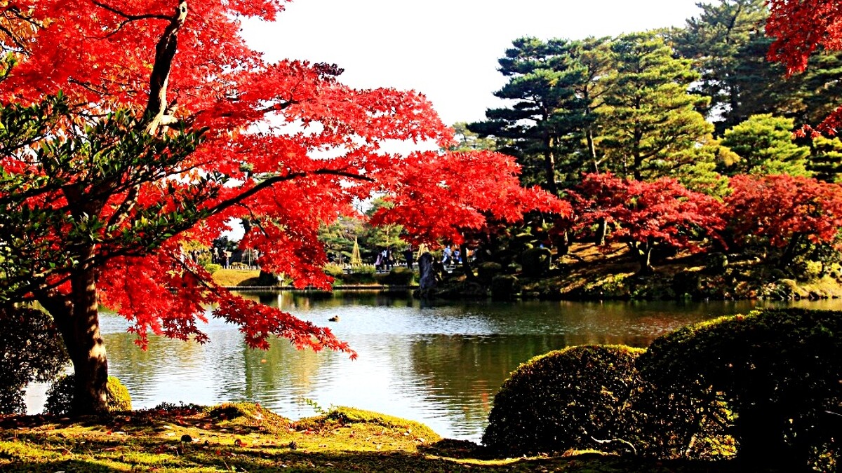 Photo/ほっと石川旅ねっと