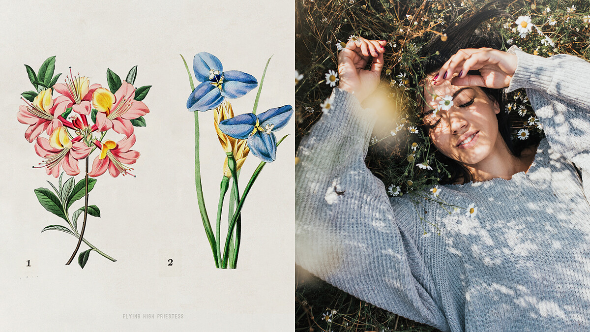 運勢占卜|快來領取你的「近期能量提醒」,有意識地自我保護就能獲得修復