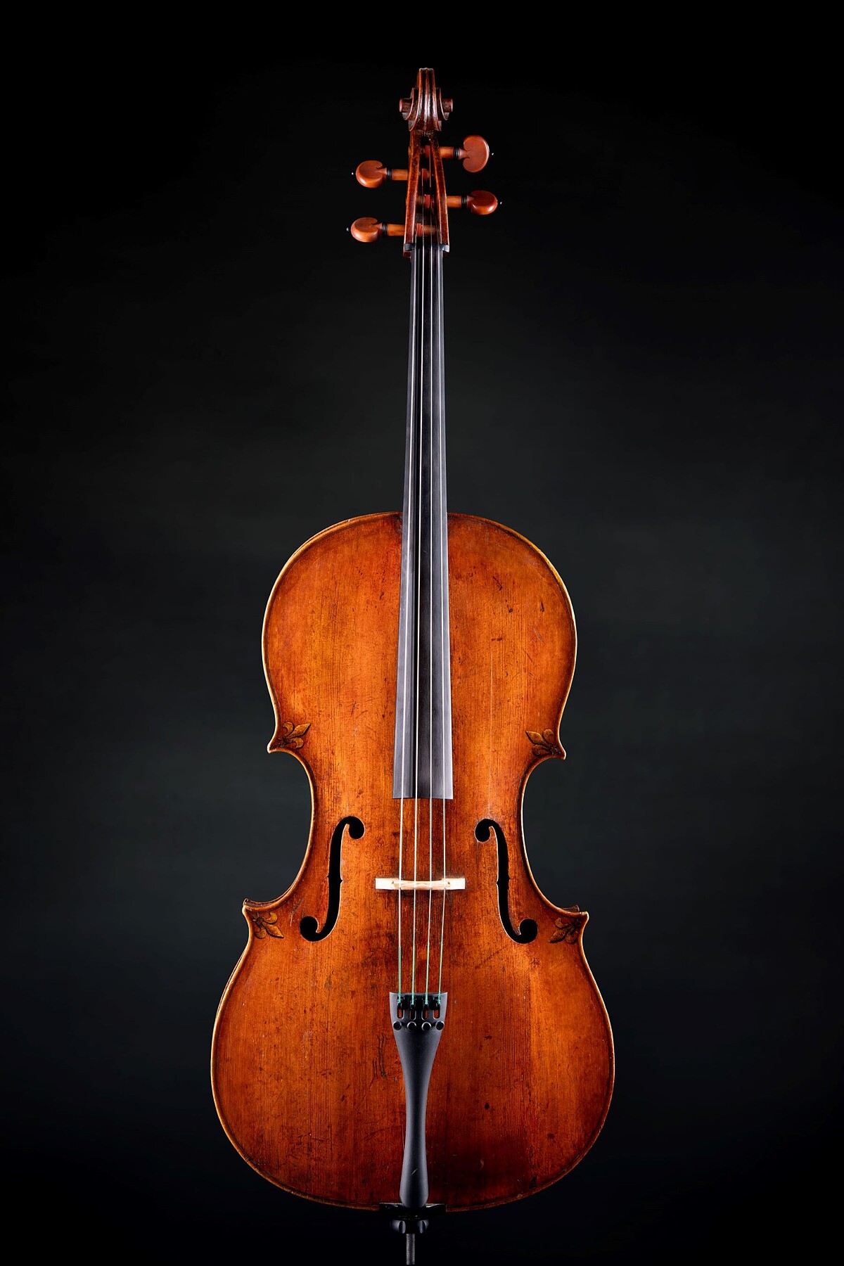 皇家名琴「查理九世」，此琴公認為世界上最古老的大提琴。 