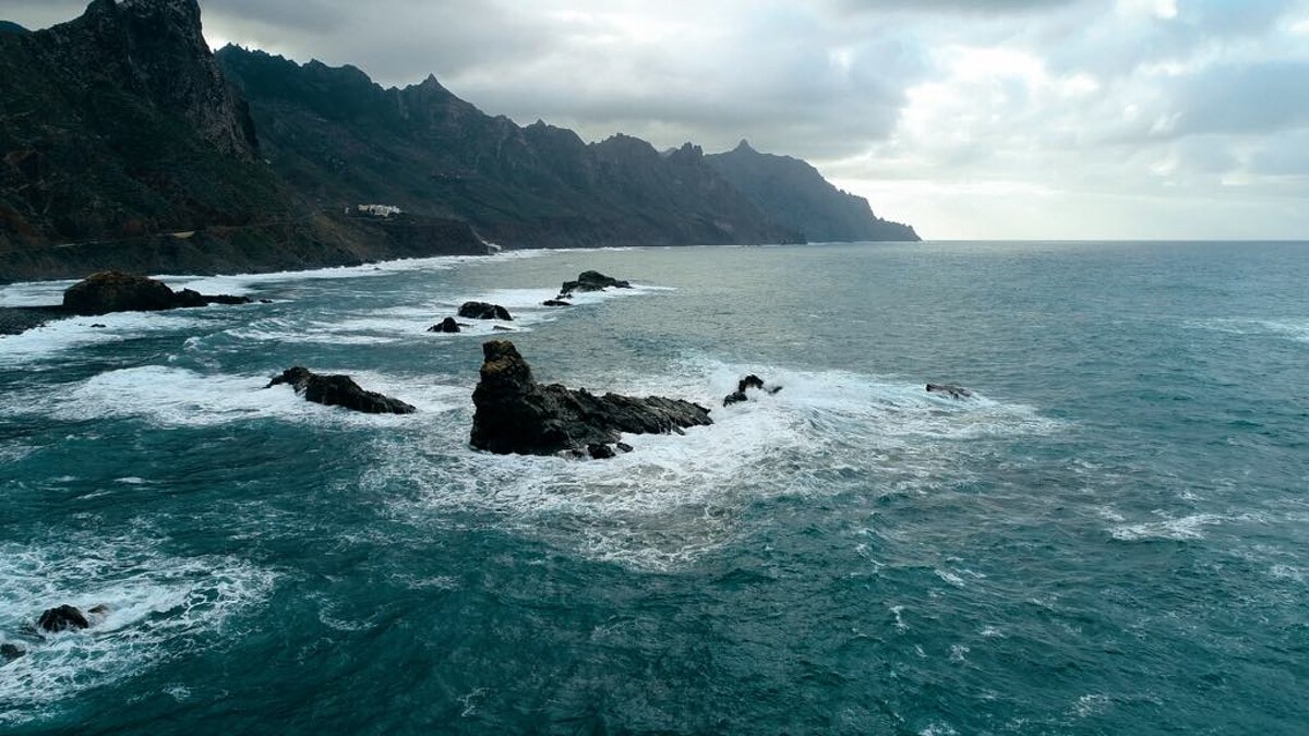 Photo / 塔羅耳語