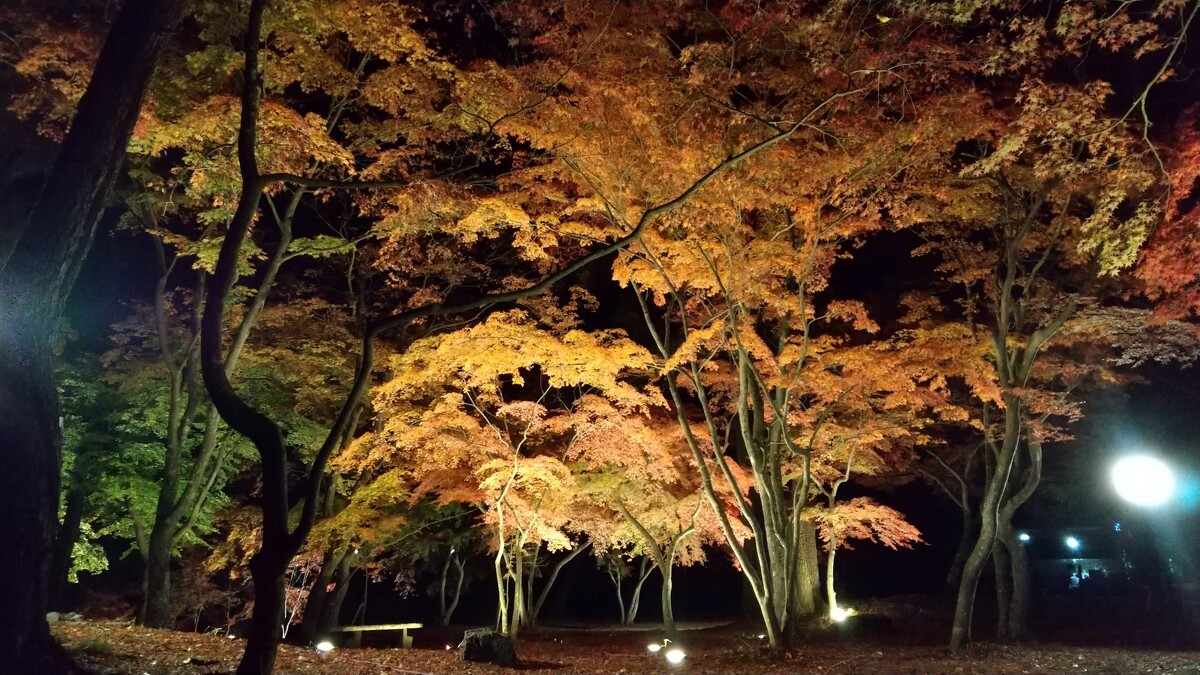 Photo/一般社団法人長瀞町観光協会