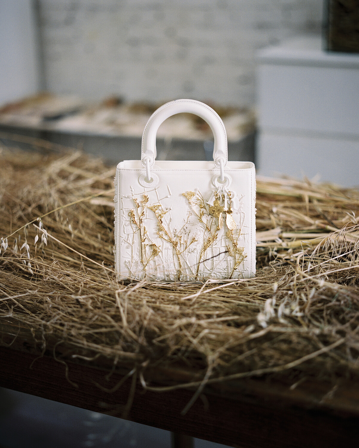 DUY ANH NHAN DUC &copy; Marion Berrin。