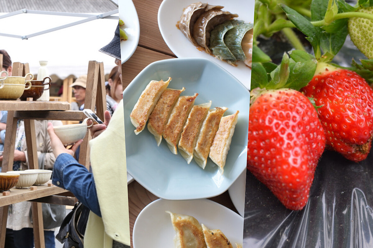 栃木縣有著豐富物產，包括知名的益子陶藝市集、宇都宮的餃子還盛產草莓。