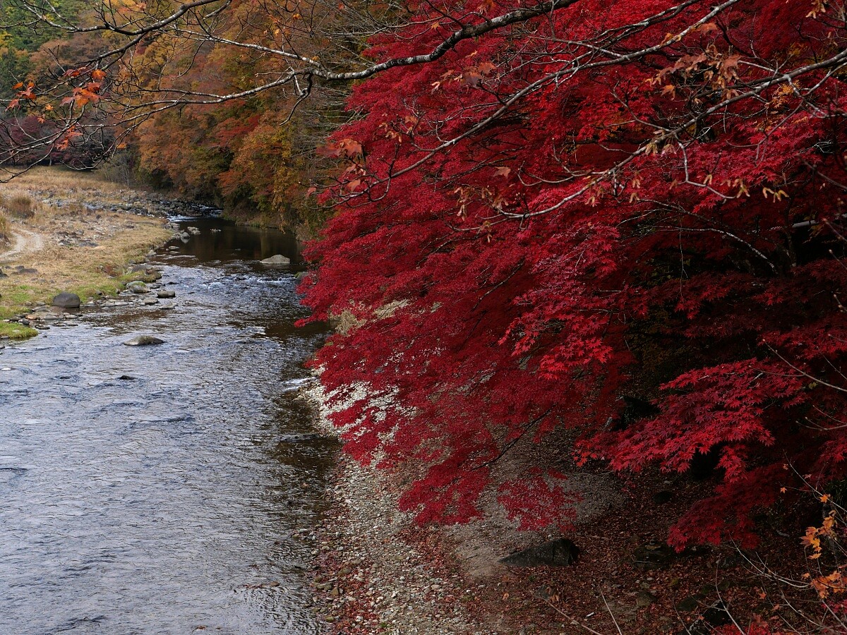 全長52.5公尺，橫跨箒川溪谷。