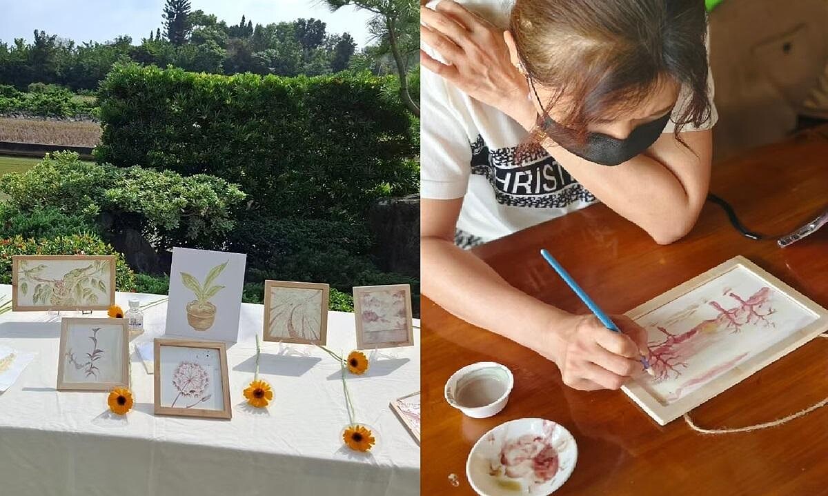 鮮豔色調的非洲玻斯菊製作天然花卉顏料。