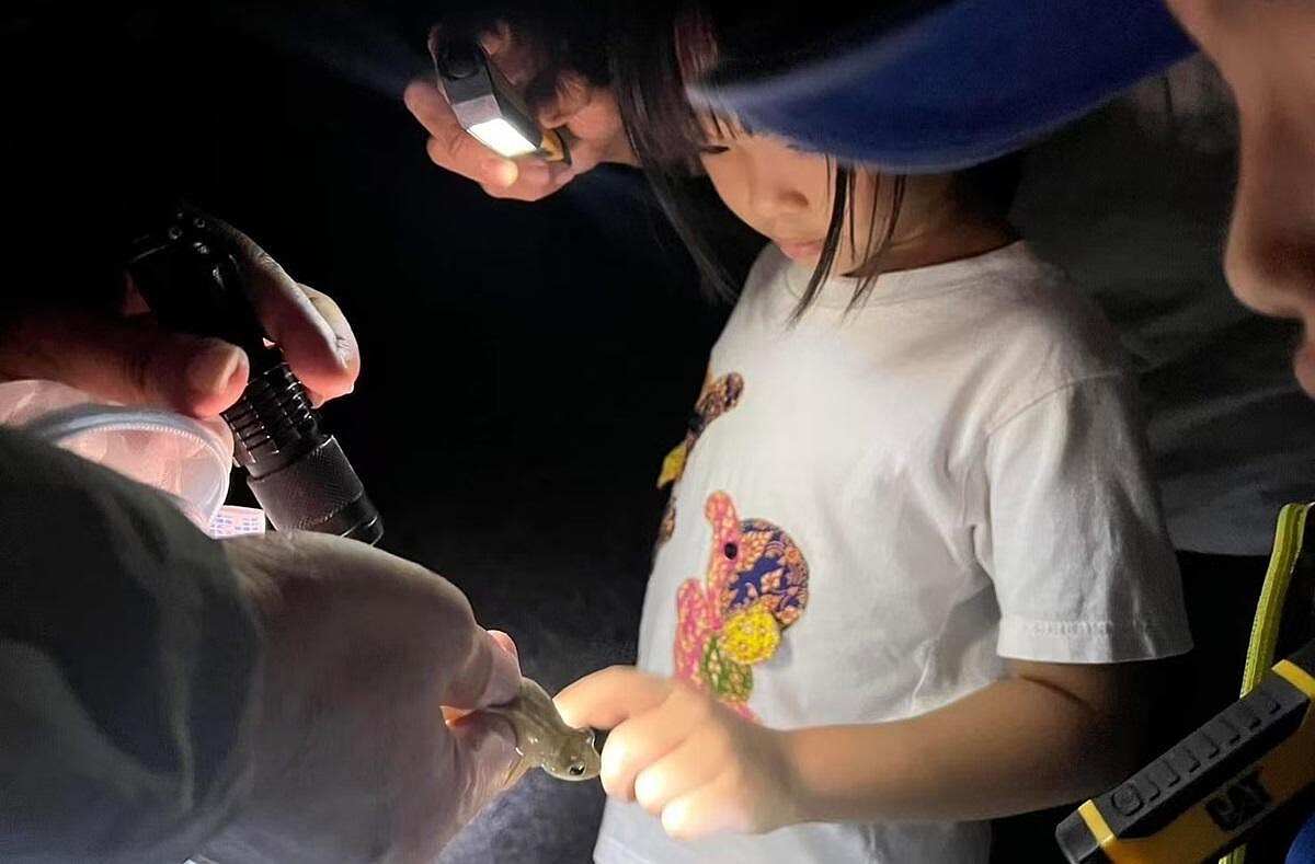 黃正民 授權提供。