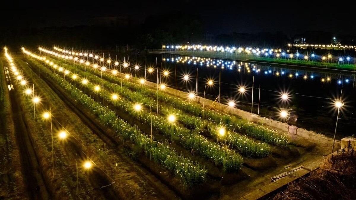 田尾休閒農業協會 授權提供。