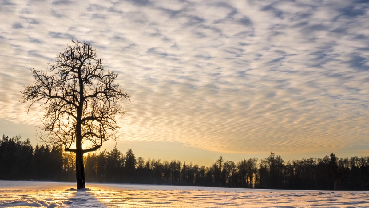 Photo / 塔羅耳語
