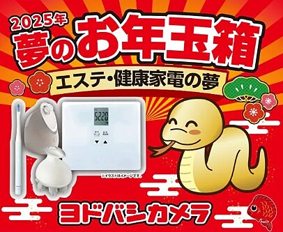© Yodobashi Camera Co.,Ltd. 1998-2024