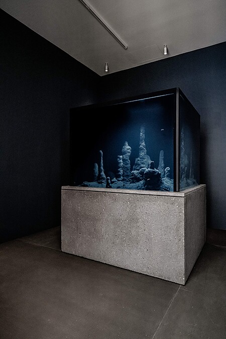 Circadian Dilemma (El D&iacute;a del Ojo), 2017｜文心藝術基金會提供 Courtesy Winsing Arts Foundation. Photo &copy; OS Studio