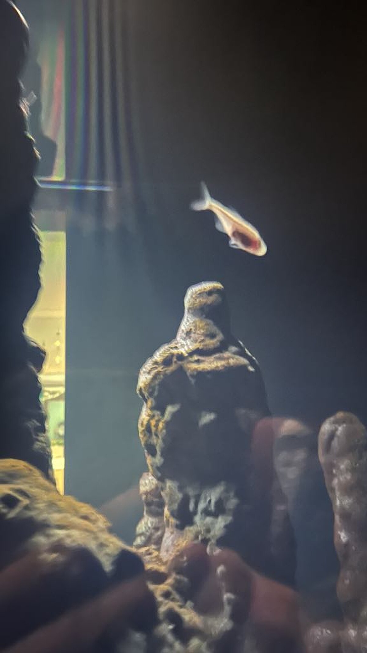 Melody TU 採訪拍攝