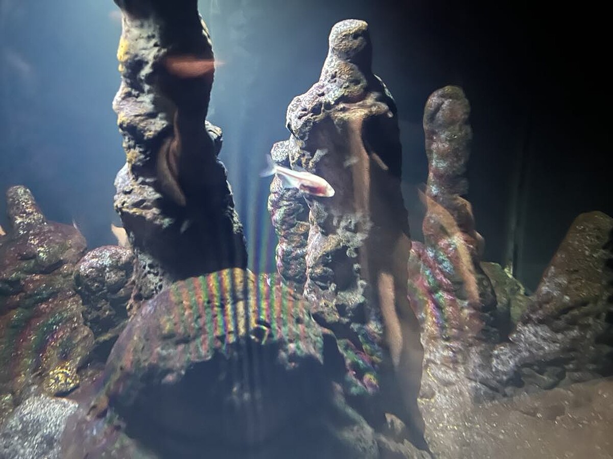 Melody TU 採訪拍攝