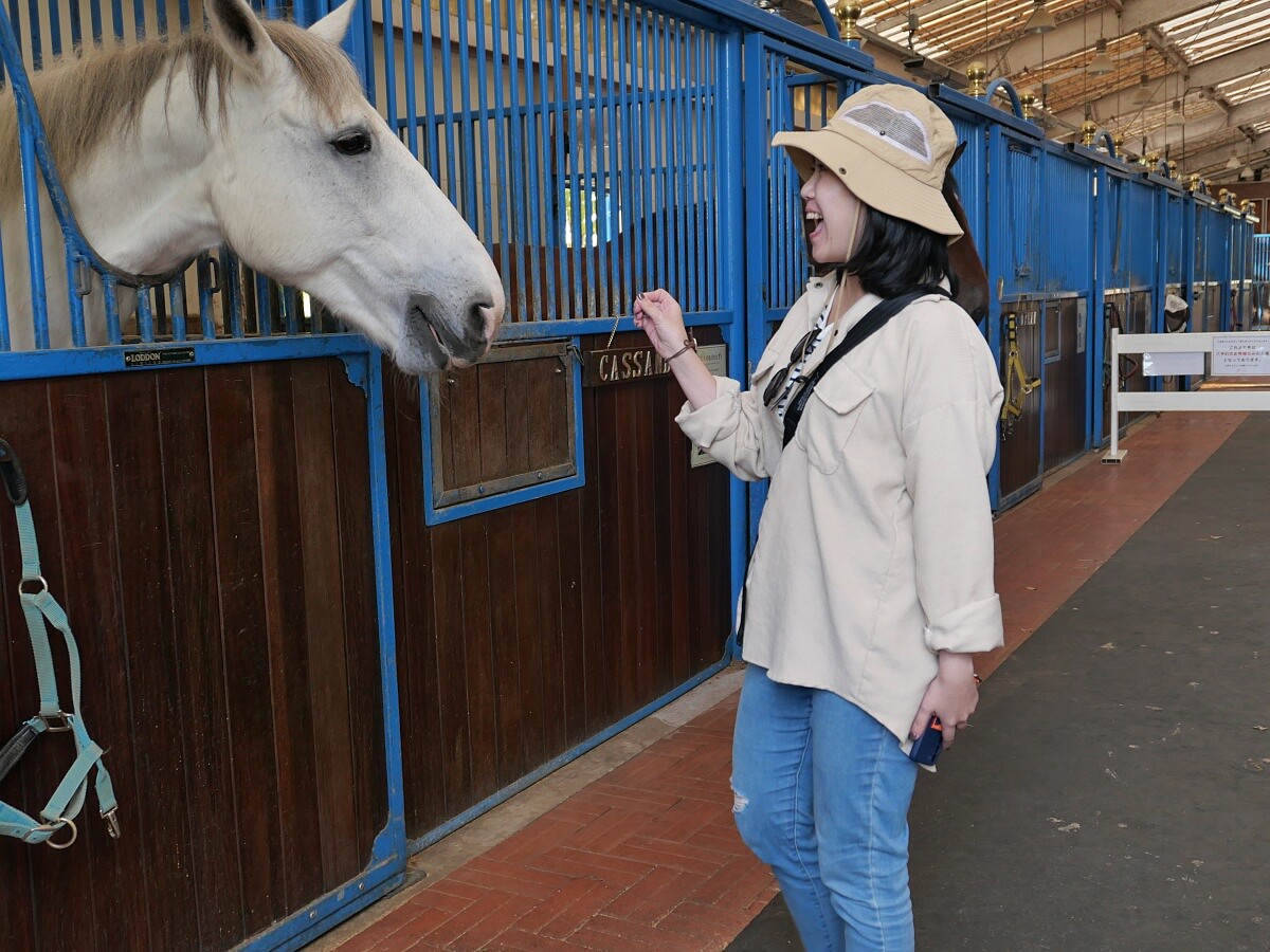 來到「Nasu Farm Village 」的訪客可以親自與馬兒互動。