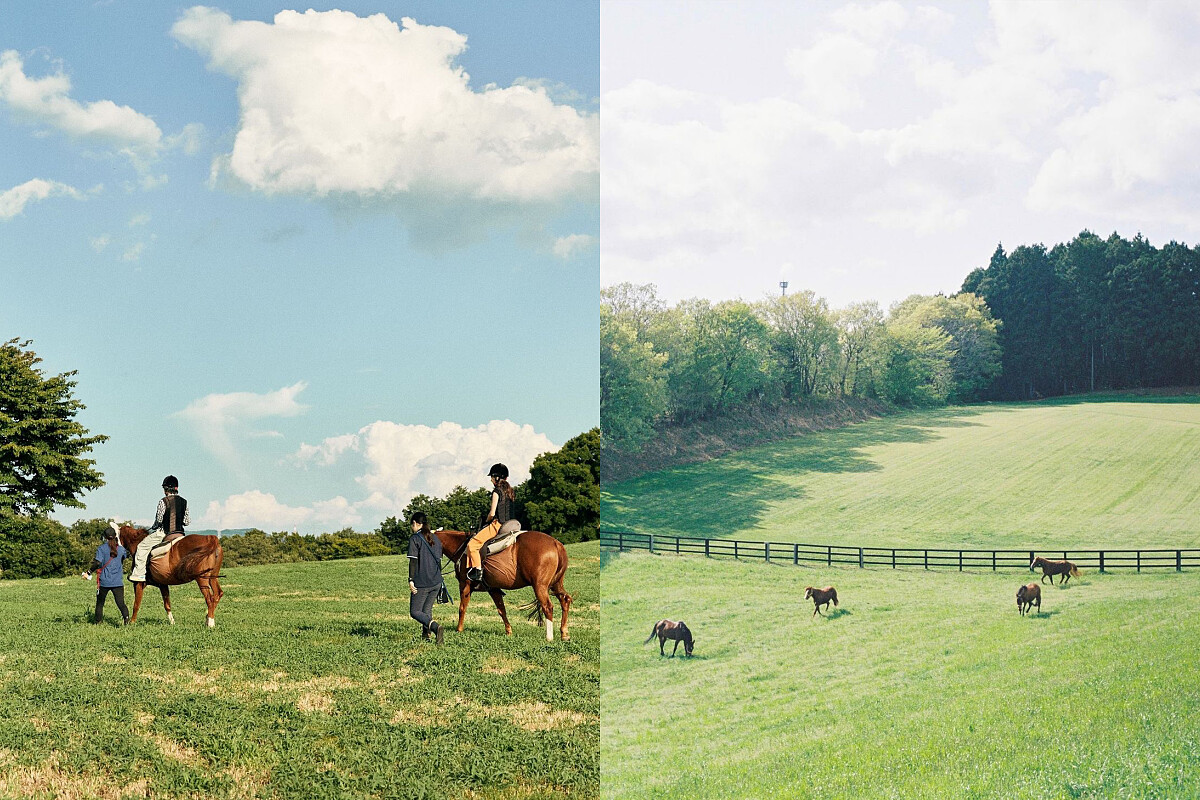提供乘馬體驗。