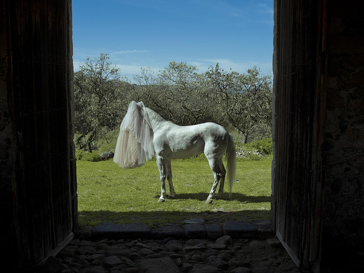 我曾居住的地方 ALL&Aacute; DONDE VIVIA 2021|100 x 124 cm