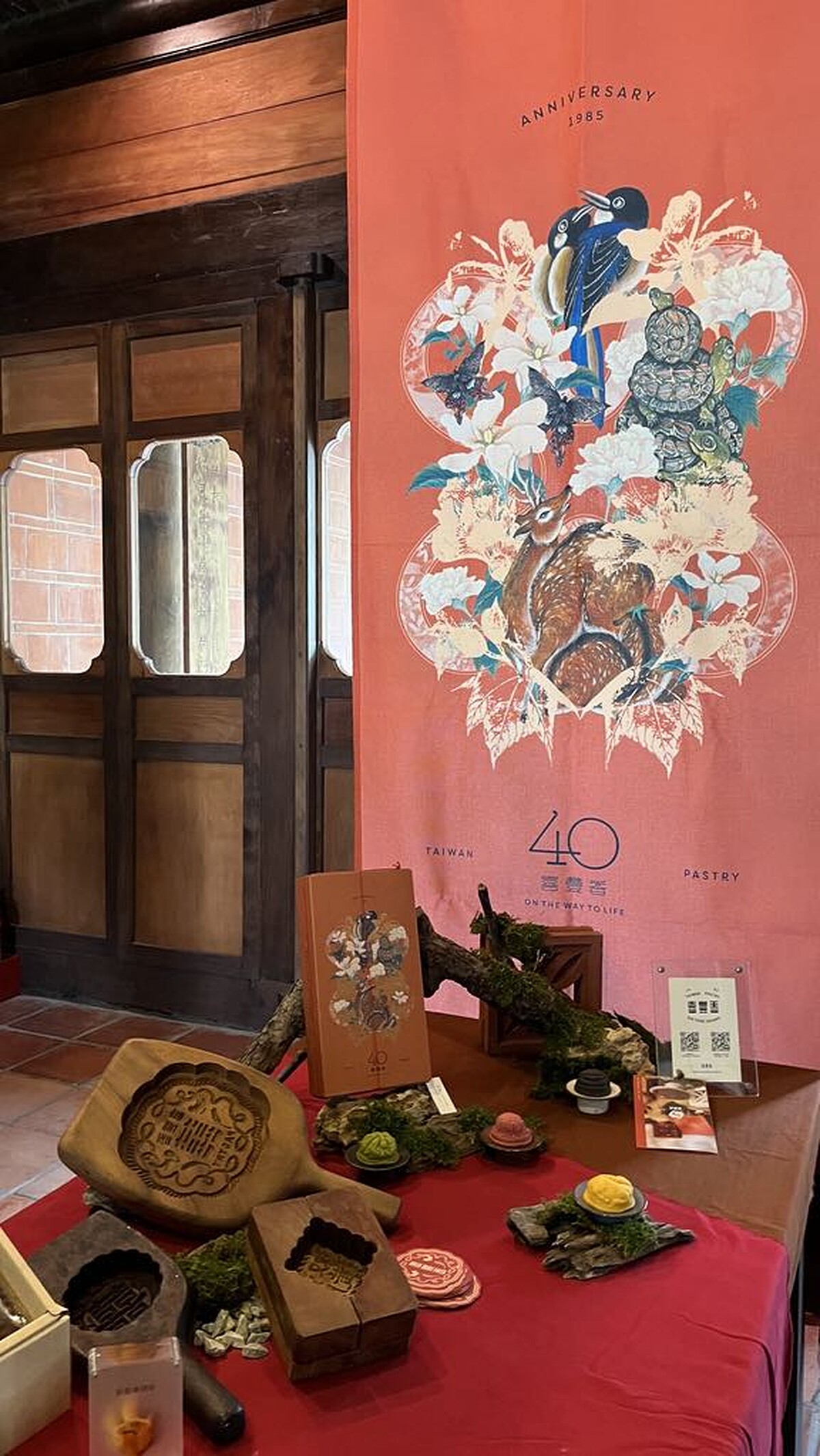 Melody TU 採訪拍攝