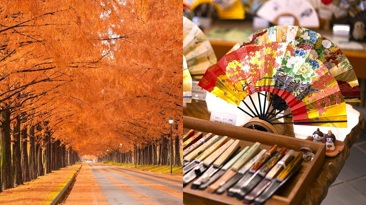 日本高島市冬季旅遊全攻略!一次體驗退役賽馬騎乘、漫步紅葉隧道、頂級近江牛漢堡排