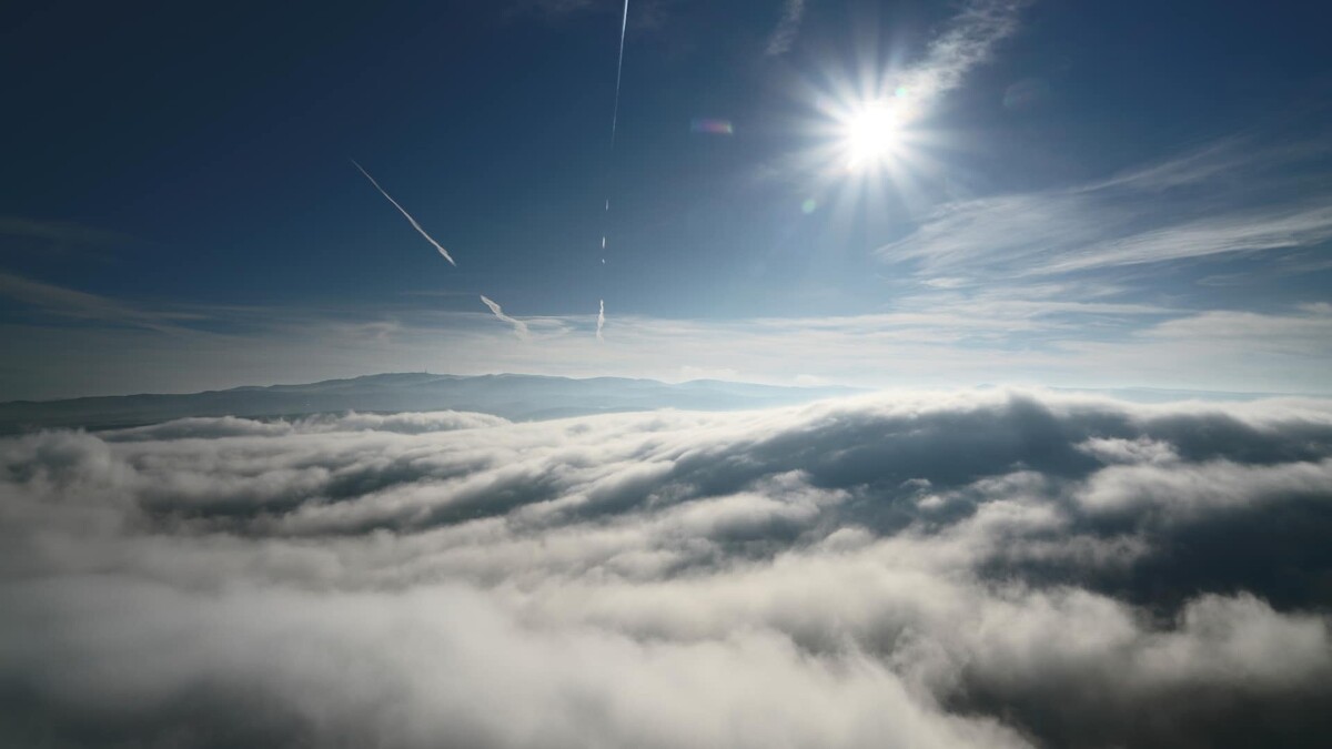 Photo / 塔羅耳語