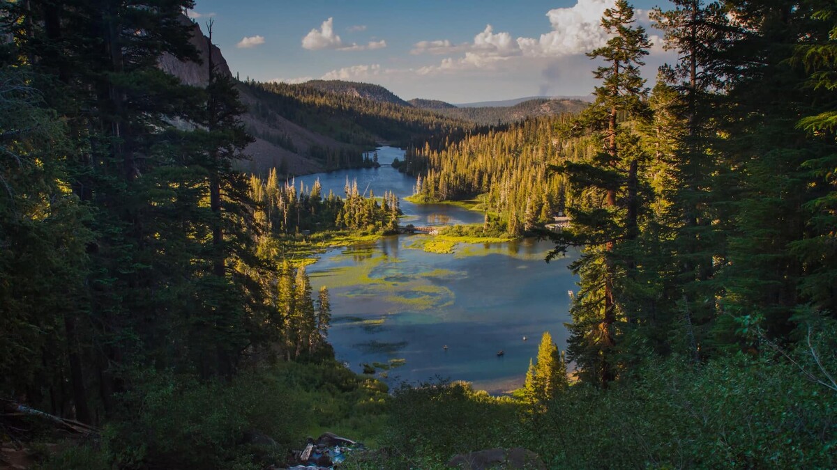 Photo / 塔羅耳語