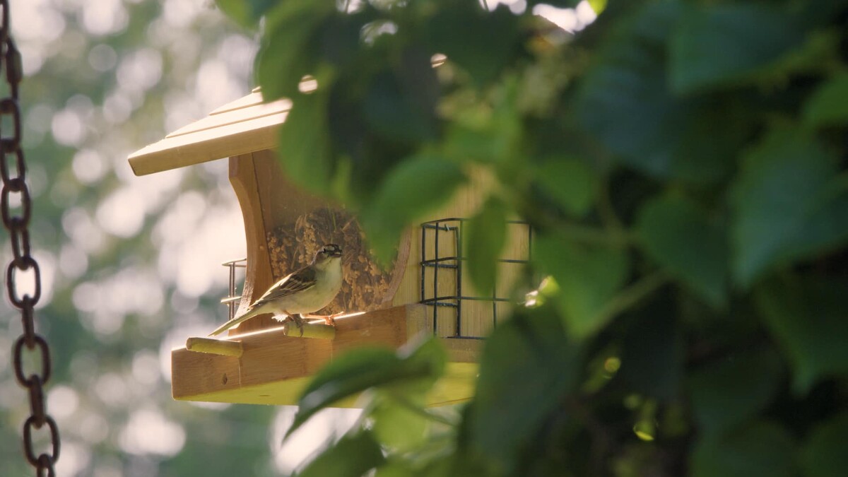 Photo / 塔羅耳語