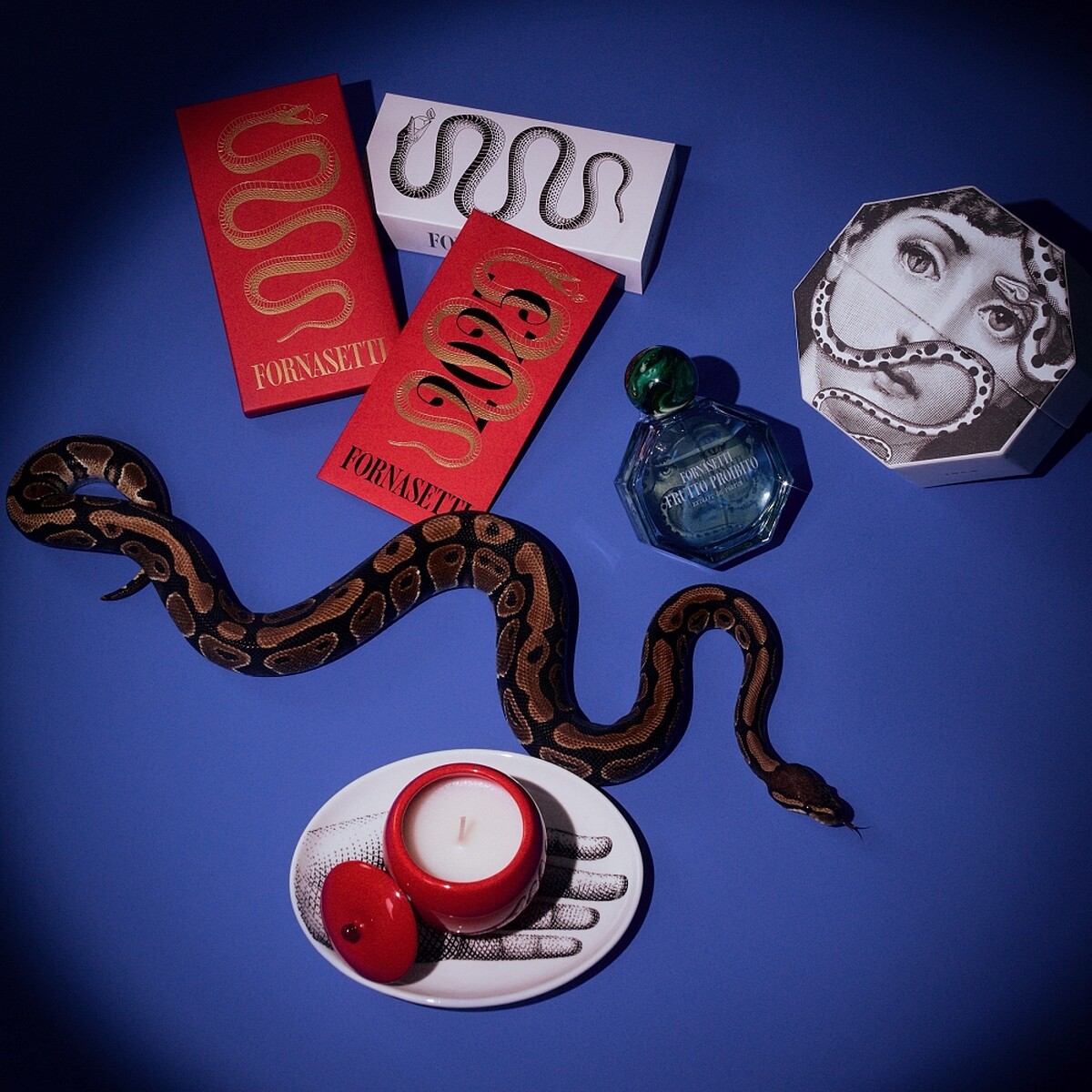 Fornasetti蛇年明星商品靈蛇春韻系列情境圖。