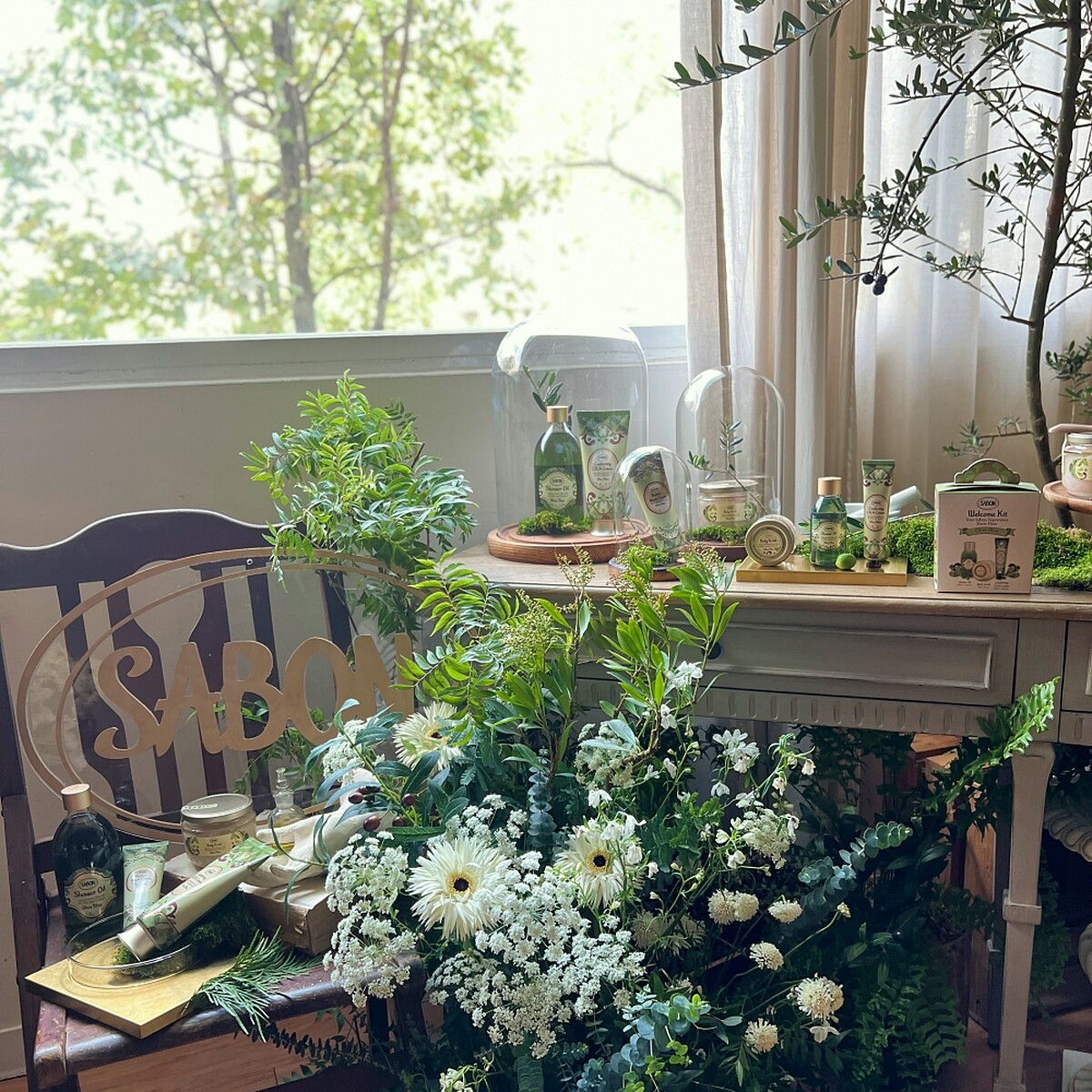 SABON盛宴橄欖系列。