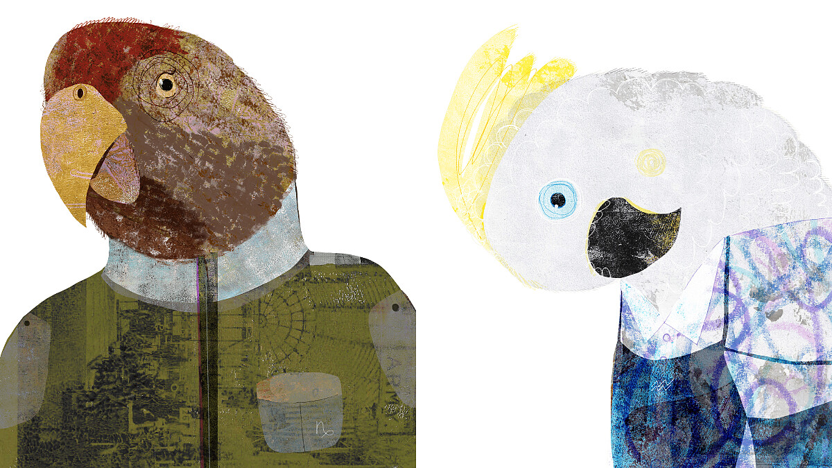 【星星教授安格斯 2/3-2/9 星座運勢】摩羯放心做自己，水瓶別一頭栽進工作