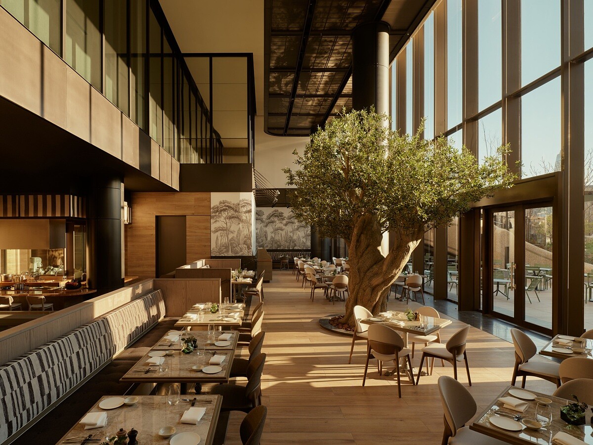 主要用餐區有著醒目高聳的橄欖樹。