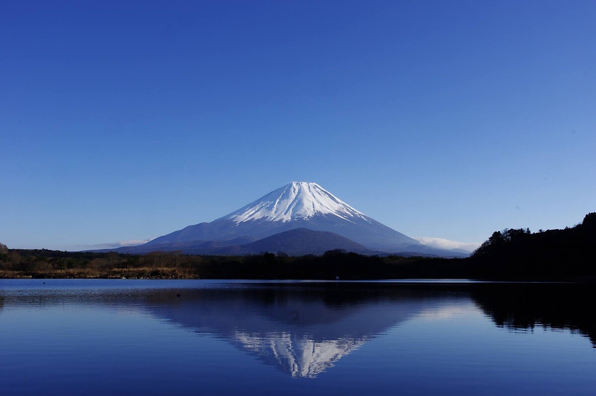 飯店房間窗戶打開都是這樣的美景。