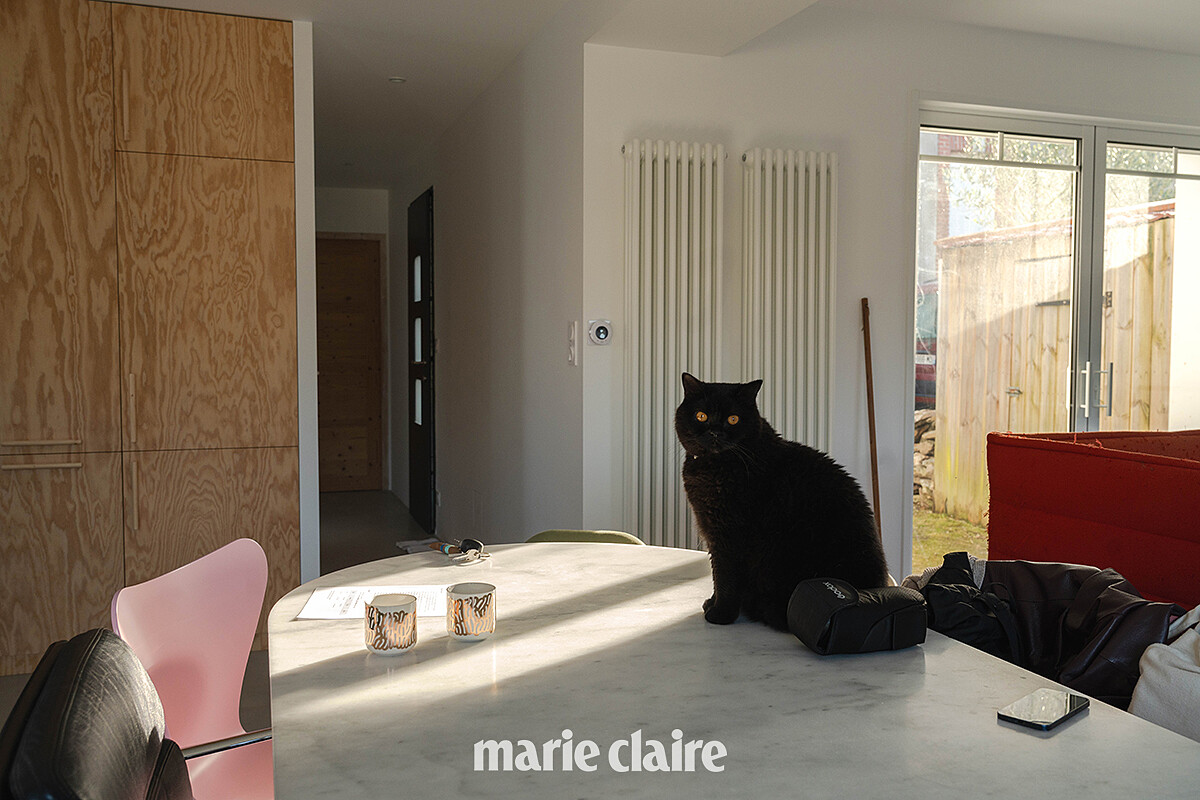 Ionna 設計的餐桌,以及他的貓孩。