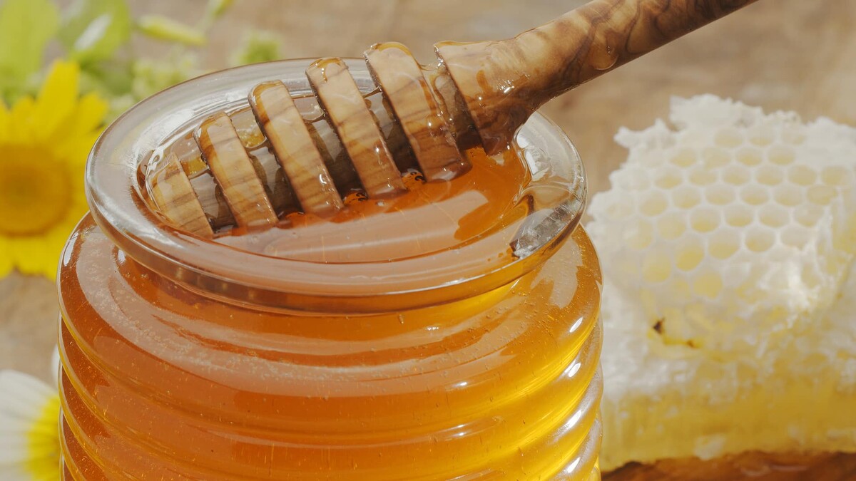 Photo / 塔羅耳語