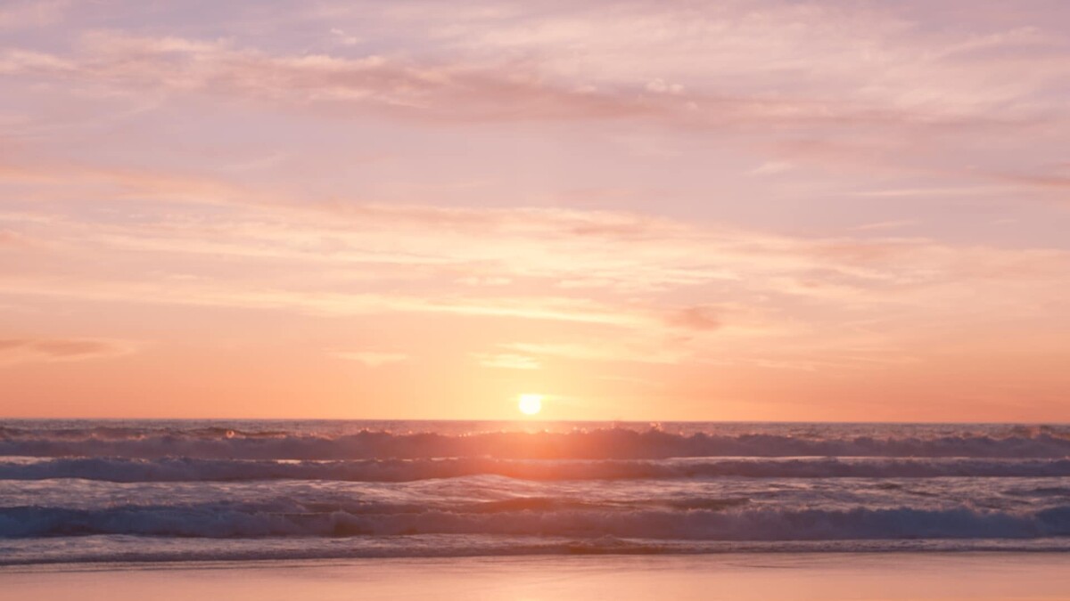 Photo / 塔羅耳語