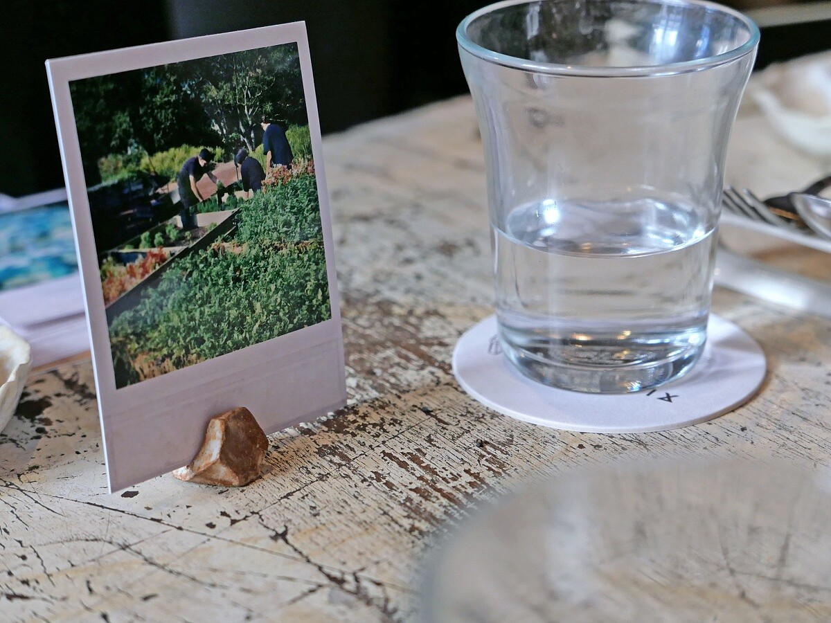 「Attica」的花園。