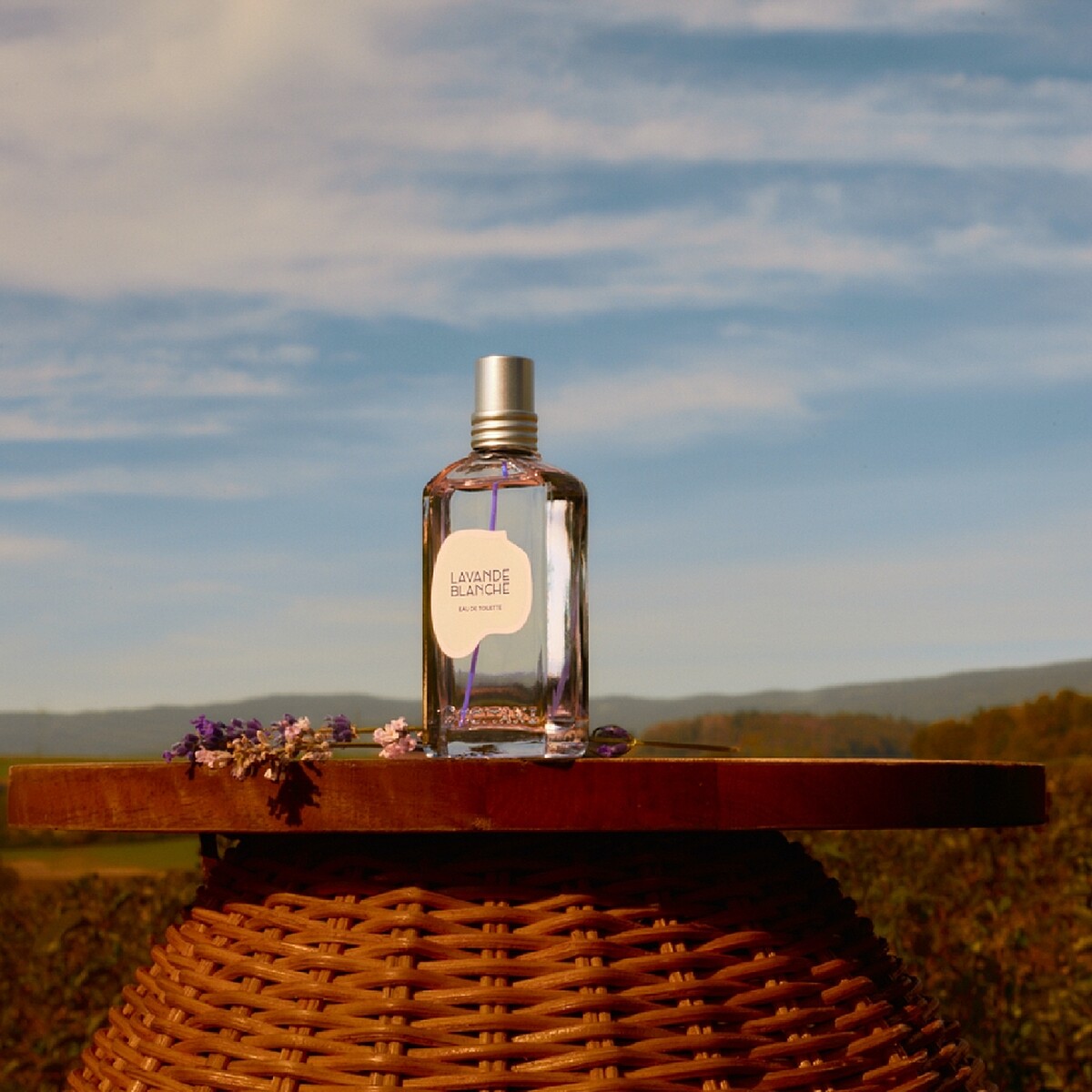 L&rsquo;OCCITANE歐舒丹白薰衣草淡香水情境照。