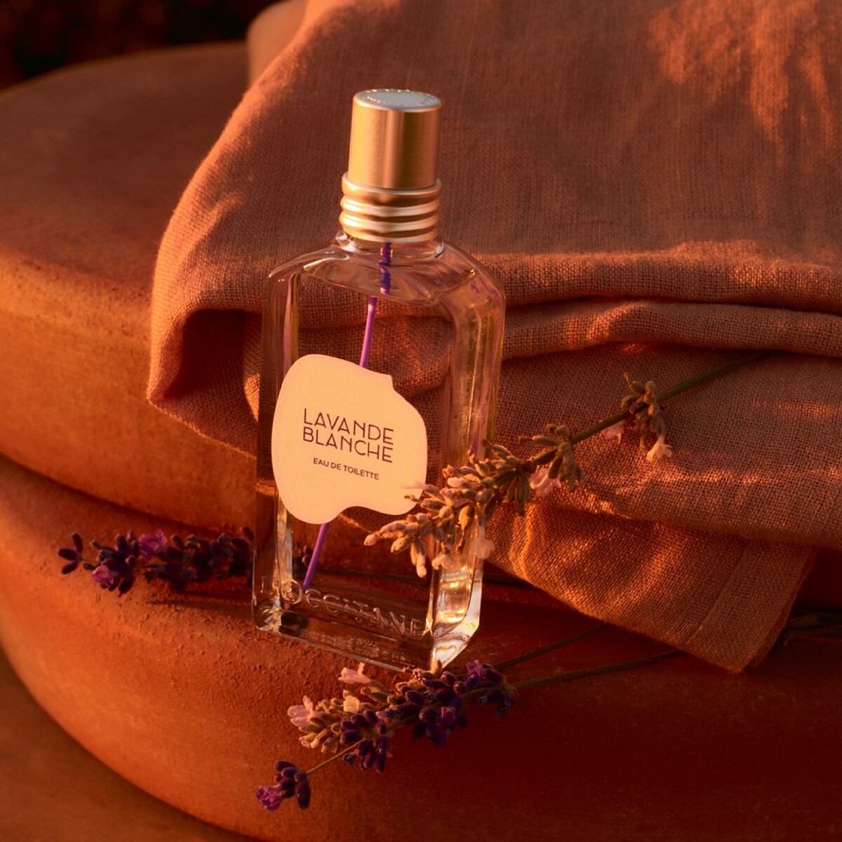 L&rsquo;OCCITANE歐舒丹白薰衣草淡香水50ml，NT2,460