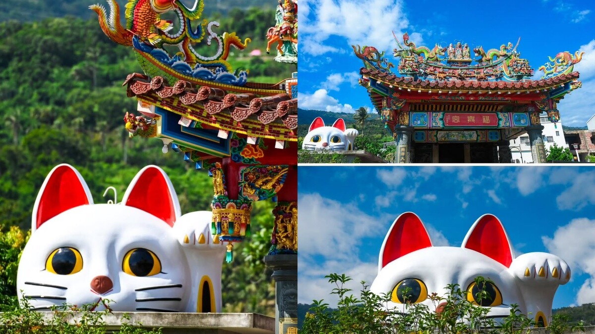 Photo/IG@tintinghi授權提供