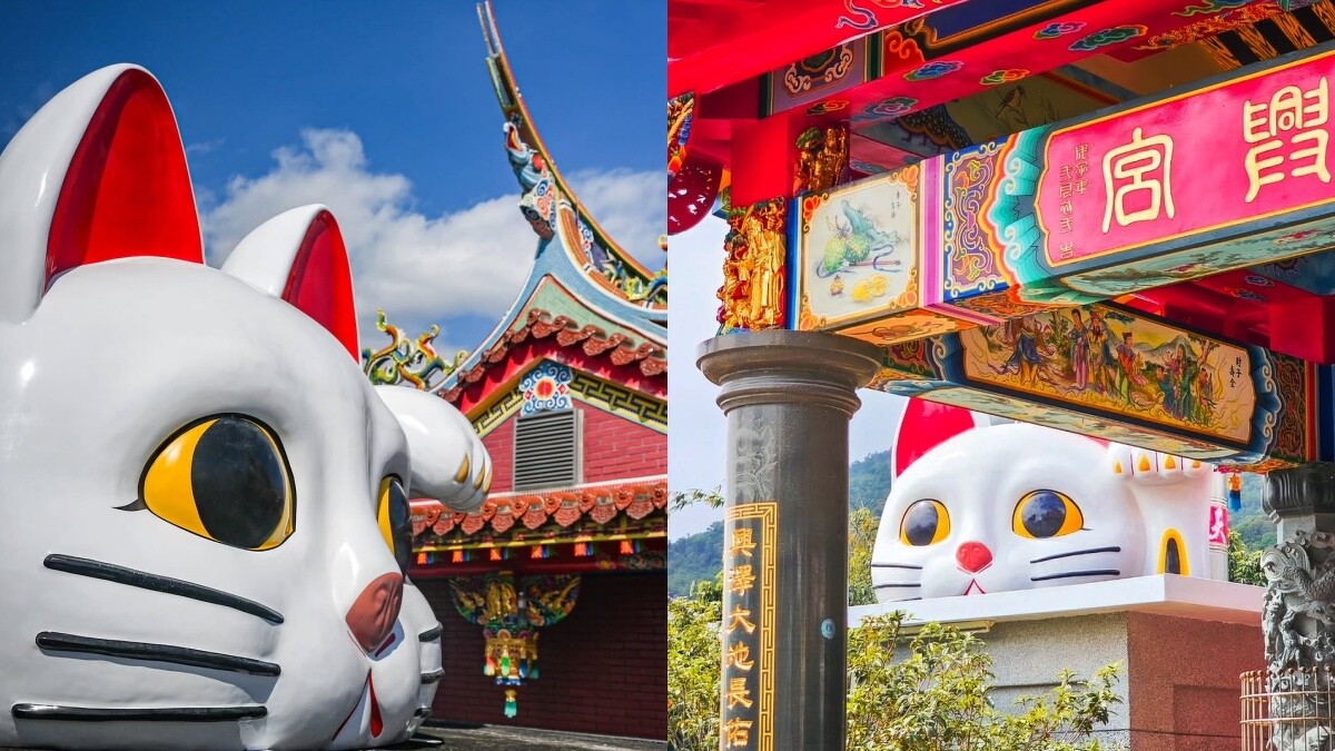 Photo/IG@tintinghi、IG@et252784授權提供