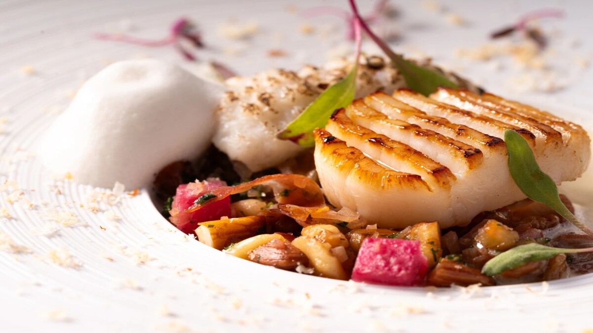 餐廳運用京都食四季食材打造料理。