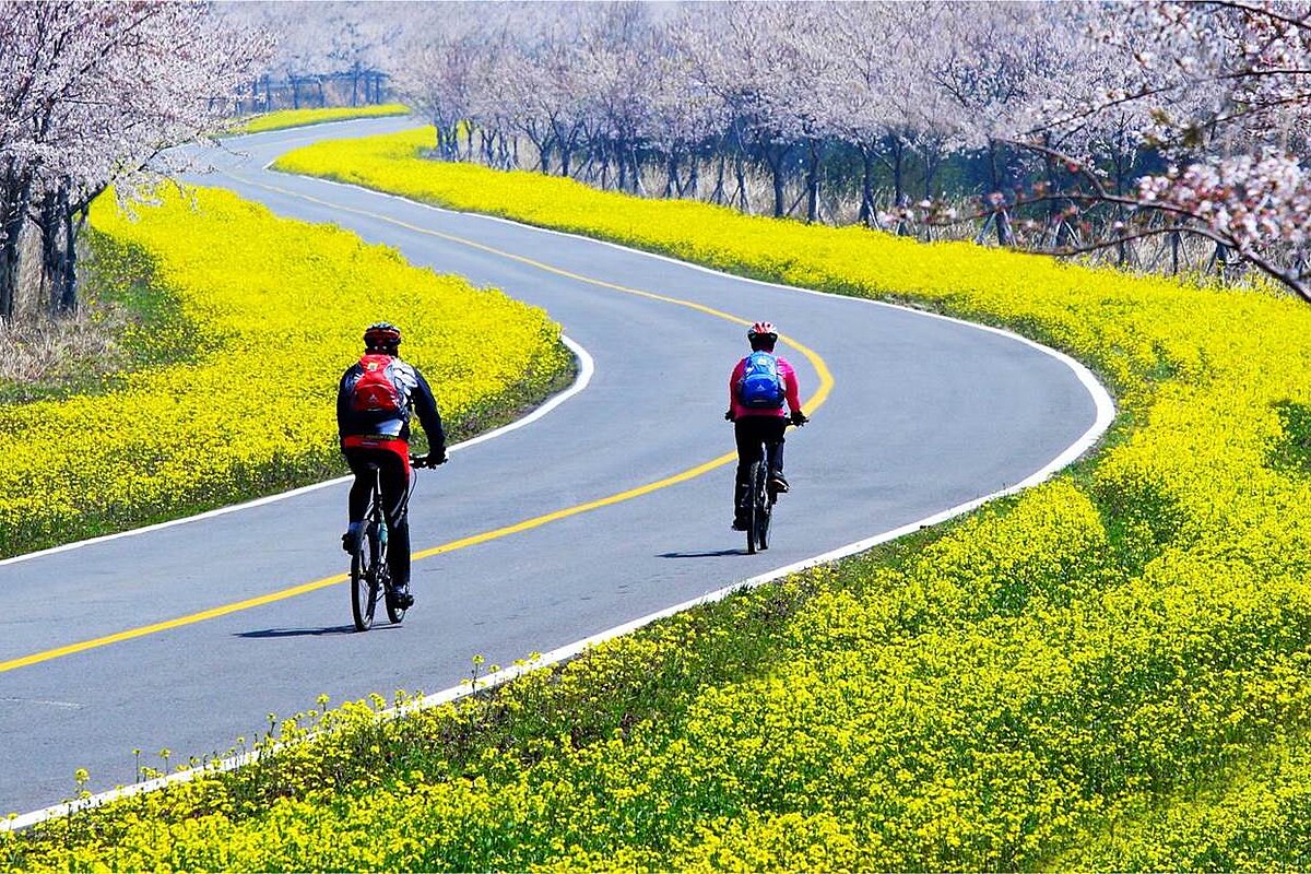 Photo/Visit Jeju官網。