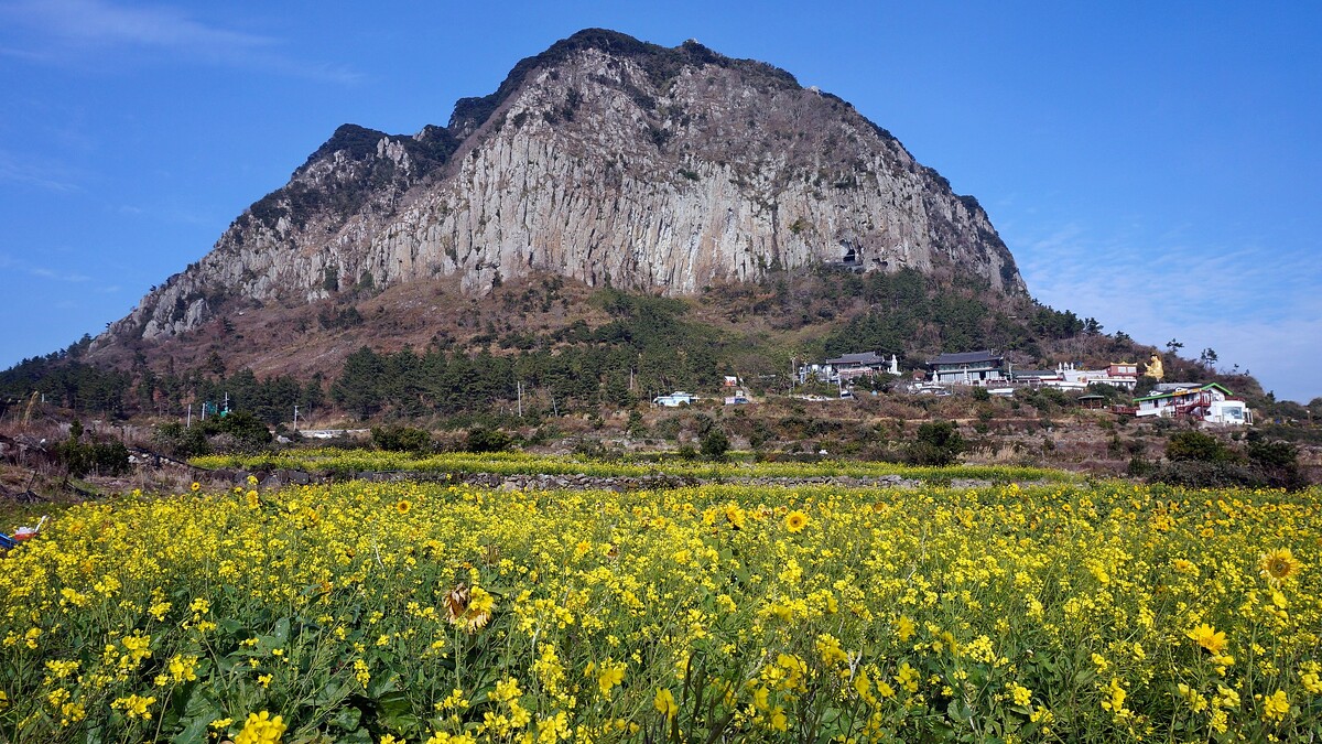 Photo/Visit Jeju官網。