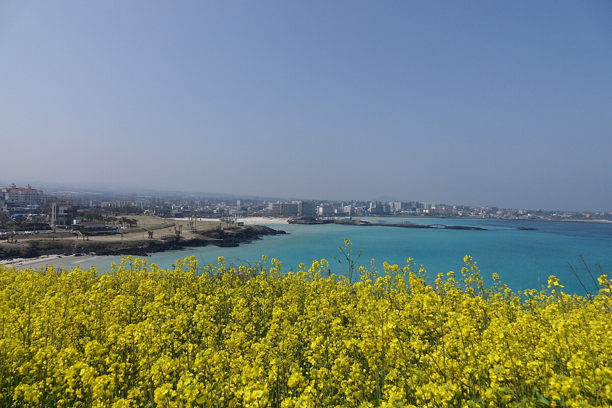 Photo/Visit Jeju官網。