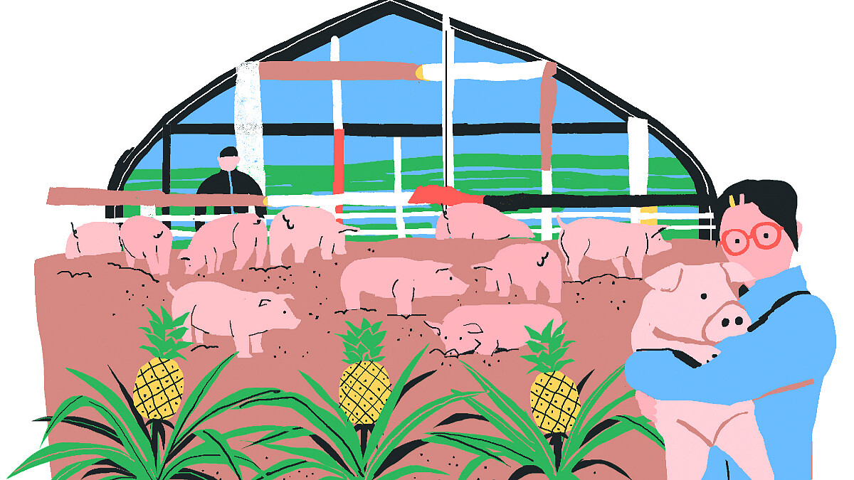 SDGs永續目標｜與大地共生，循環農牧經濟計劃，延續珍貴的自然能量