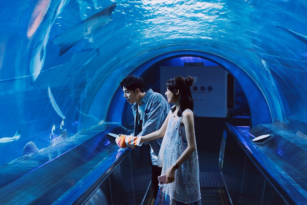 Photo / 紅杉娛樂