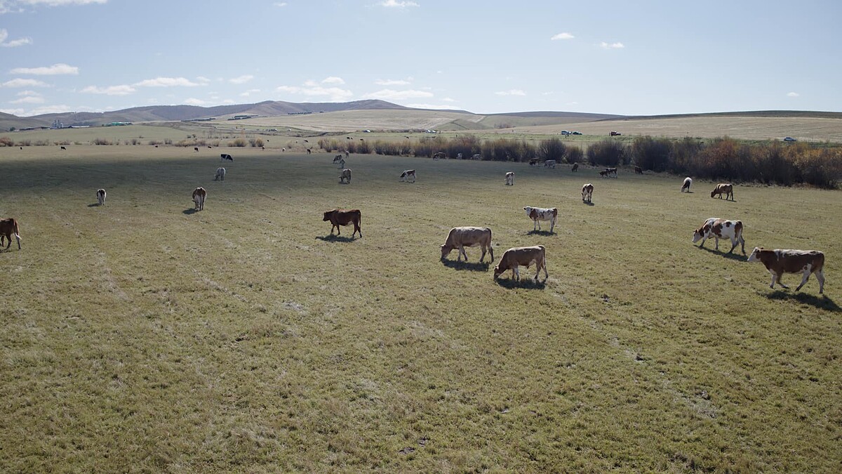 Photo / 塔羅耳語