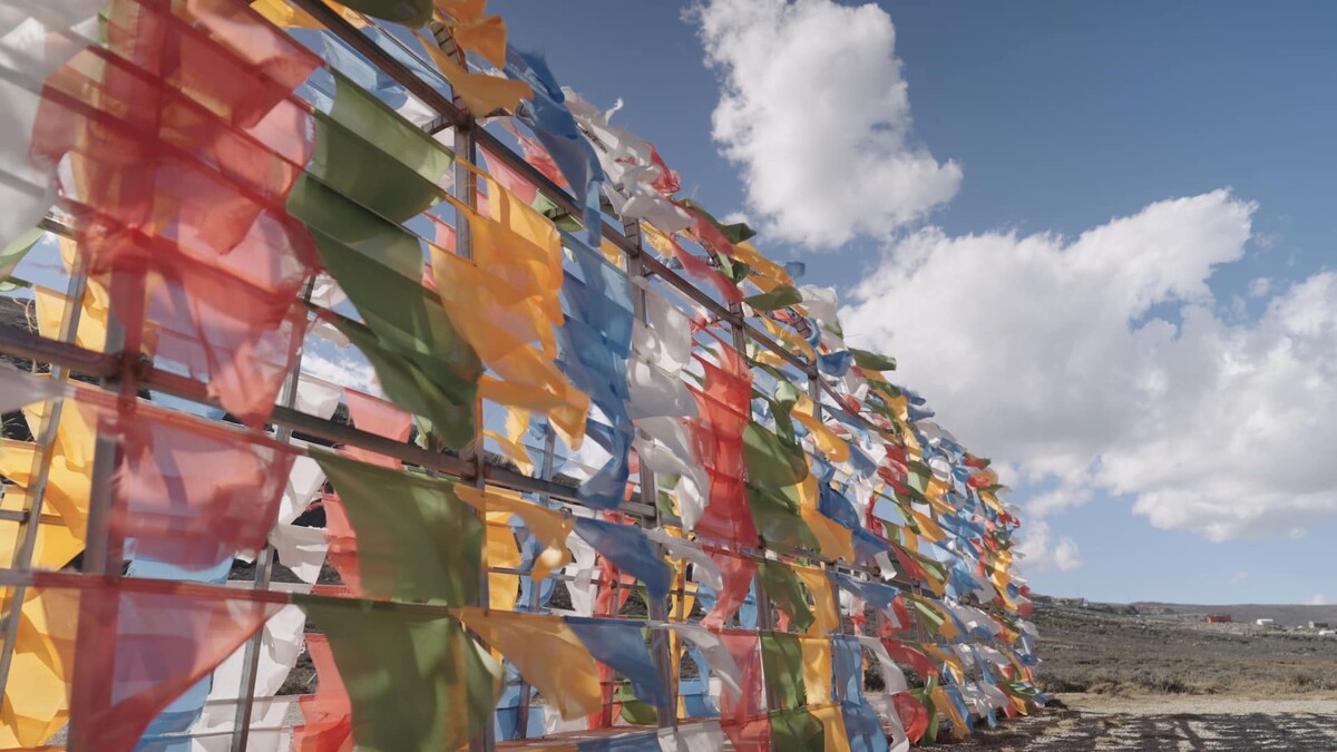 Photo / 塔羅耳語